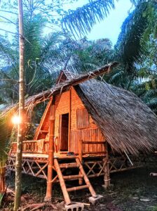 Bamboo House
