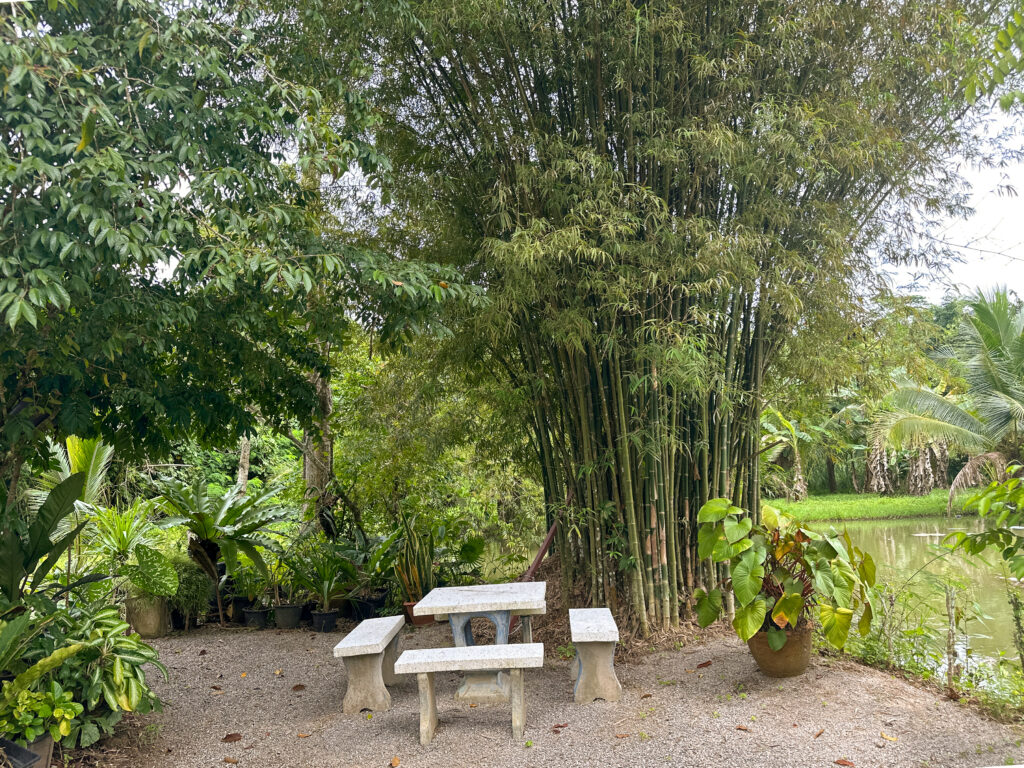 Baan Panmala Guesthouse