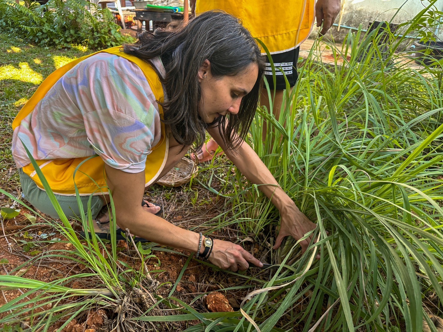 Ao Luek Thai Cooking Class