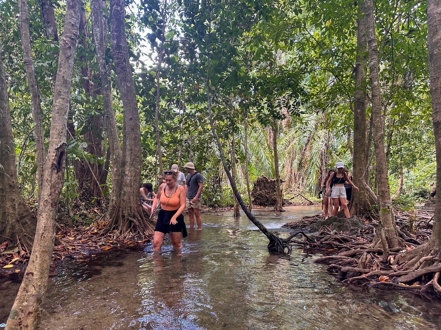 Ao Luek Jungle Pool